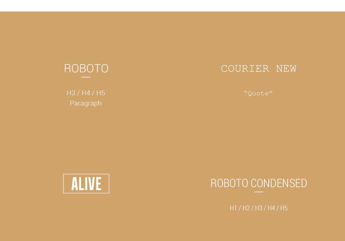 gregory-dreamer-project-ecommerce-alive-05-fonts